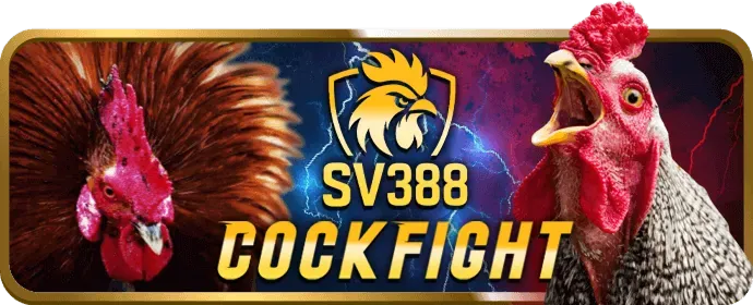 Trò Chuyện Trực Tuyến vs388